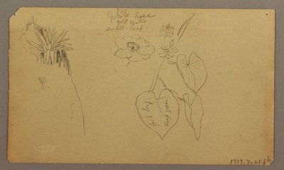 Landscape; Verso: Botanical Sketches, 1865 by Frederic Edwin Church