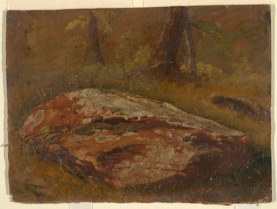 Mossy Rock, August 1845 by Frederic Edwin Church