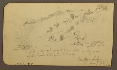 Mountain, Zapotlan; Verso: Wooded Hillside, Cuitzeo Lake, January 1885 by Frederic Edwin Church