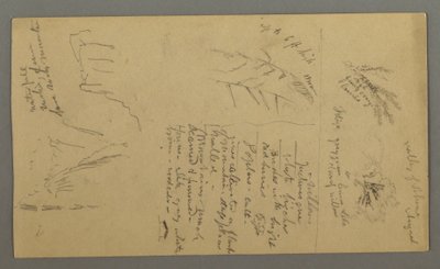 Plant Studies, Plant-Notes, Waterfall, 1868 by Frederic Edwin Church
