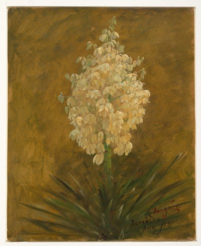 Plant in Blossom, August 1865 by Frederic Edwin Church