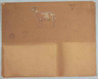 Studies of Sheep, Ecuador or Colombia, 1853 by Frederic Edwin Church