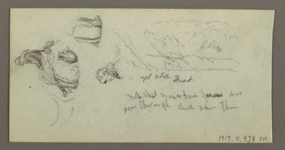 Study of Camel