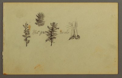 Three Evergreens, 1845 by Frederic Edwin Church