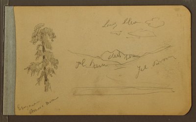 Tree, Mountains, 1889 by Frederic Edwin Church