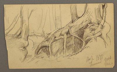 Tree Roots Growing Over a Boulder (Turner Mountain), 1877 by Frederic Edwin Church