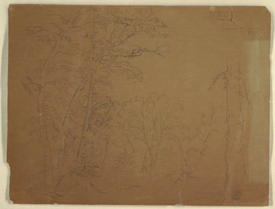Trees, Grand Manan Island, Canada, 1851 by Frederic Edwin Church
