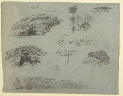 Trees, Tree Tops, and a Wooded Bank, Saddleback, Maine, 1853 by Frederic Edwin Church