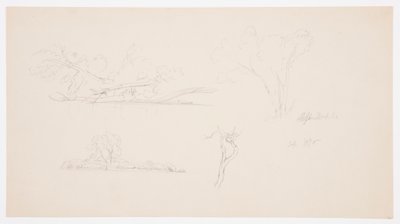 Trees, a Shore with Bushes and Trees, September 1876 by Frederic Edwin Church