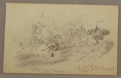 Trees, possibly 1860s by Frederic Edwin Church