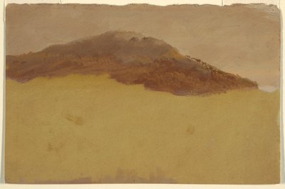 Wooded hillside, 1870–80 by Frederic Edwin Church