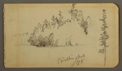 Wooded Shore, Tree Study, 1878 by Frederic Edwin Church