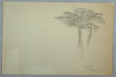 Fern Tree Study, Jamaica by Frederic Edwin Church