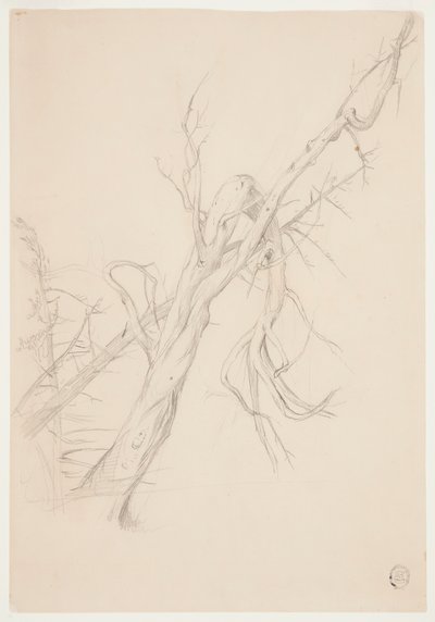 Gnarled Dead Tree by Frederic Edwin Church