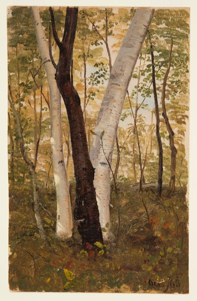 In the Woods, Hudson, New York by Frederic Edwin Church