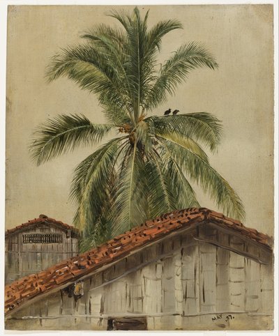 Palm Trees and Housetops, Ecuador by Frederic Edwin Church