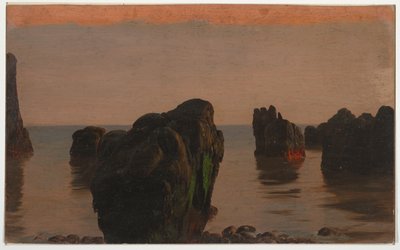 Rocks and Moss Off Grand Manan by Frederic Edwin Church