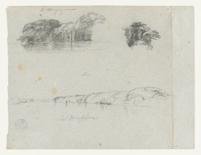 Sketches of Trees, Vines and a Bank of the Rio Magdalena, Colombia by Frederic Edwin Church