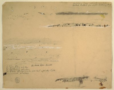 Studies of Gulls, Rocky Coast and Cloudy Sky, Great Manan, Canada by Frederic Edwin Church