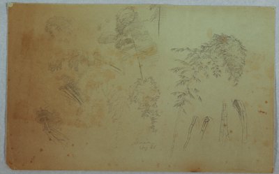 Studies of Tree Tops and Bamboo, Jamaica by Frederic Edwin Church