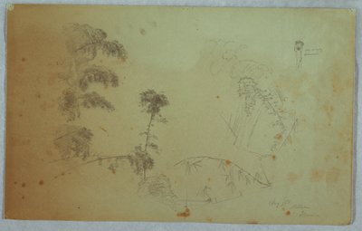 Studies of Trees with Details of Bamboo and a Small Detail of a Man Carrying Bananas on His Head, Bellevue, Jamaica by Frederic Edwin Church