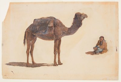 Study of a Dromedary by Frederic Edwin Church