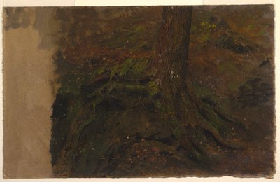 Study of a Tree Trunk by Frederic Edwin Church