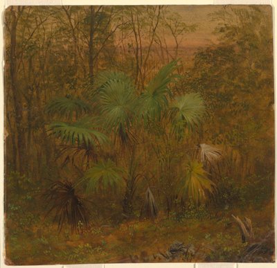 Thatch Palm, Jamaica by Frederic Edwin Church