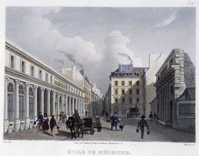 School of Medicine - in 
