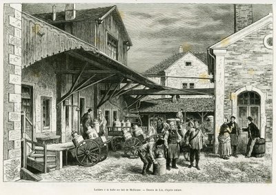 Dairy at the Milk Hall of Mulhouse. Engraving by Lix to illustrate the story 