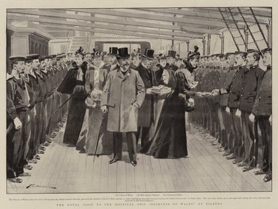 The Royal Visit to the Hospital Ship Princess of Wales at Tilbury by Frederic de Haenen
