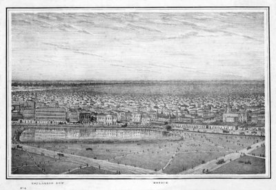 Esplanade Row and Mosque, Panorama of Calcutta, India by Frederick Fiebig