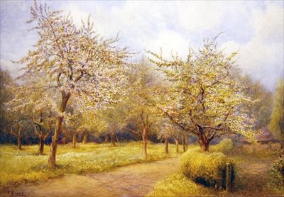 Trees in Blossom by Frederick Henry Evans