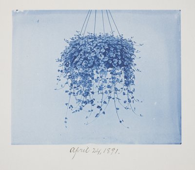 Untitled, April 24 by Frederick K. Coulson