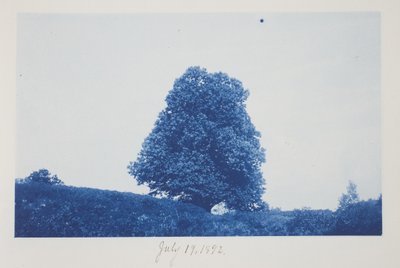 Untitled, July 19 by Frederick K. Coulson