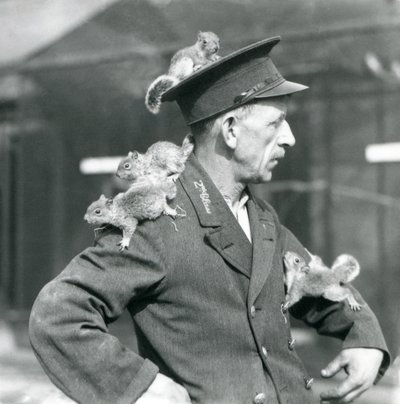 A Second Class Keeper with four young Grey Squirrels climbing on his uniform hat and jacket, London Zoo by Frederick William Bond
