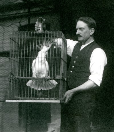 A Keeper Holds a Sulphur Crested Cockatoo, Jade, in Its Cage at London Zoo in October 1924 by Frederick William Bond
