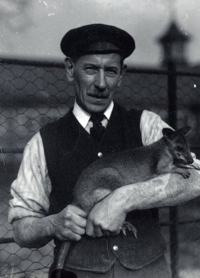 A keeper holds a wallaby, October 1920 by Frederick William Bond