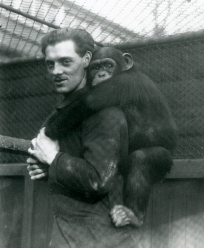 A Man Carries Chimpanzee Sally on His Back, London Zoo, 1924 by Frederick William Bond