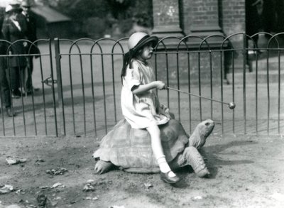 A Small Girl, Betty, Holds Out a Stick with an Apple on the End to Lead the Giant Tortoise She is Riding, London Zoo, 1924 by Frederick William Bond