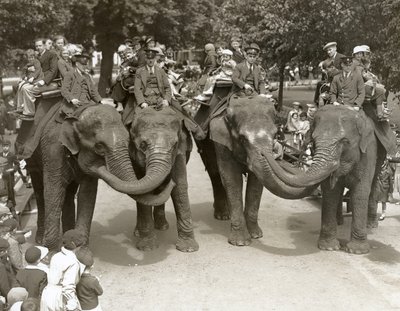 Elephant rides at London Zoo, July 1936 by Frederick William Bond