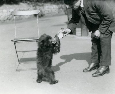 Keeper Harry Warwick bottle feeds a Sloth Bear cub at London Zoo, August 1921 by Frederick William Bond