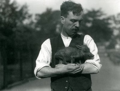 Keeper Harry Warwick Cradles a Baby Warthog in His Arms at London Zoo by Frederick William Bond