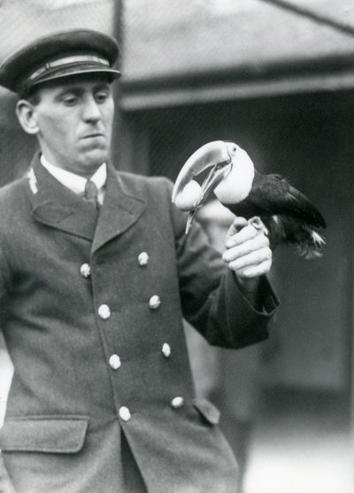 Keeper, Thomas Raggett, Holding a Red-billed Toucan with an Egg in Its Mouth at London Zoo in 1924 by Frederick William Bond
