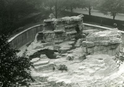 Monkey Hill Seen from the Top of the Mappin Terraces, London Zoo by Frederick William Bond