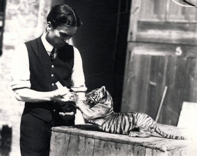 Tiger Cub Being Fed by Keeper Harry Warwick by Frederick William Bond