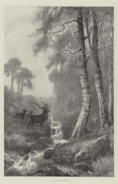 Dawn in the Forest by Frederick William Hayes