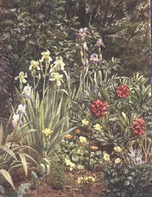 A Corner of the Garden by Frederick William Jackson