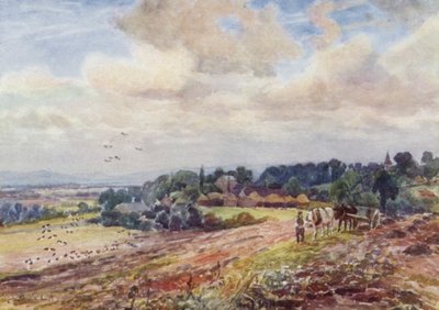 Hungry Grafton by Frederick William Newton Whitehead