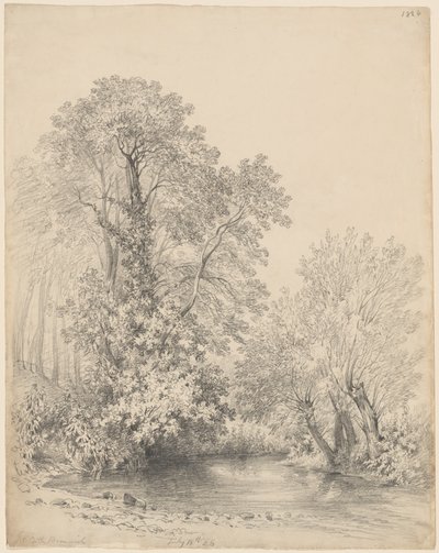 Trees by the River at Castle Bromwich by Frederick William Watts